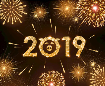 Новый год 2019 - CENHOT